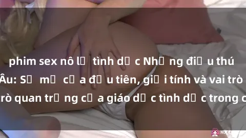 phim sex nô lệ tình dục Những điều thú vị về sex ở Bắc Âu: Sự mở cửa đầu tiên, giới tính và vai trò quan trọng của giáo dục tình dục trong các quốc gia này.